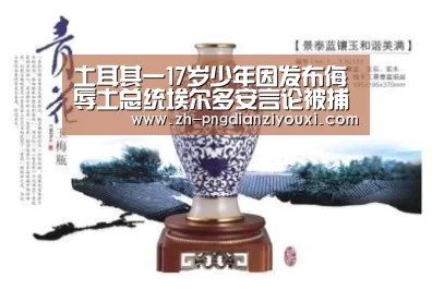 土耳其一17岁少年因发布侮辱土总统埃尔多安言论被捕_png电子游戏(图1) png电子游戏
