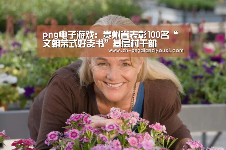 png电子游戏:贵州省表彰100名“文朝荣式好支书”基层村干部(图3) png电子游戏
