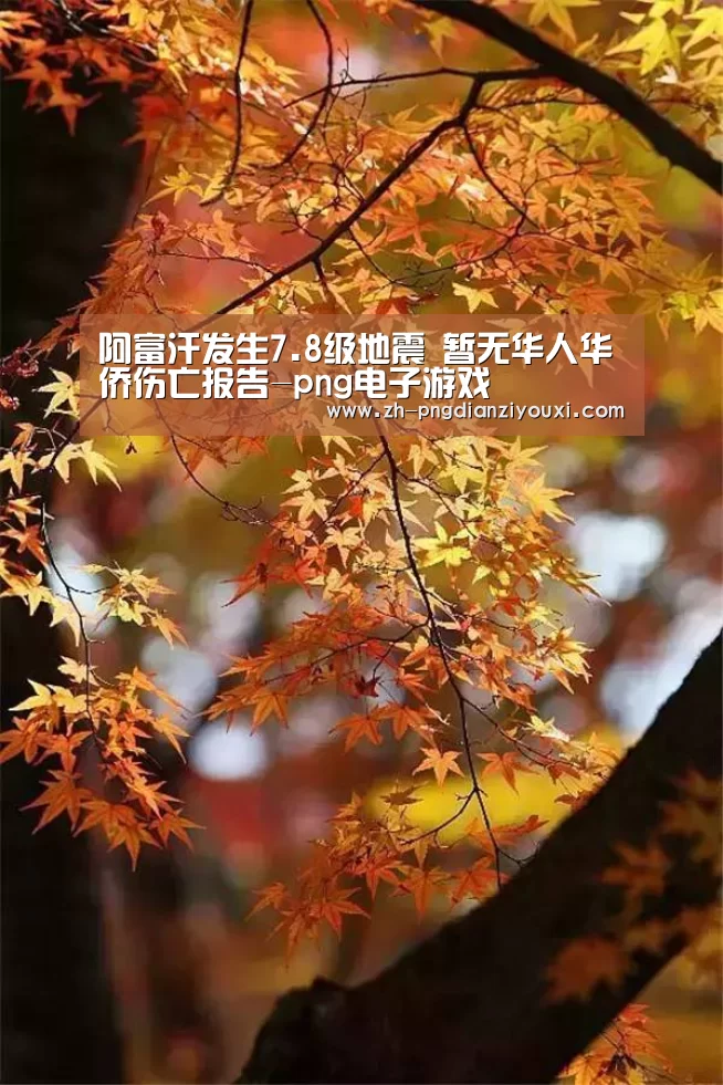 png电子游戏