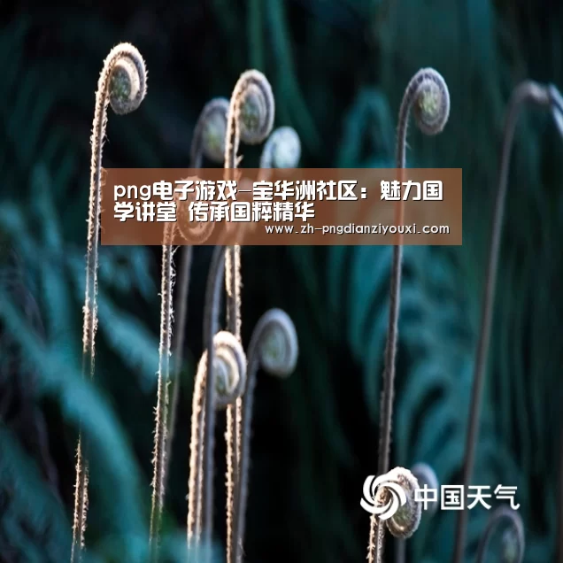 png电子游戏