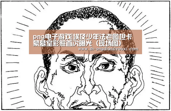 png电子游戏|埃及少年法老图坦卡蒙墓室彩照首次曝光(现场图)(图3) png电子游戏
