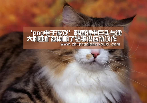 png电子游戏