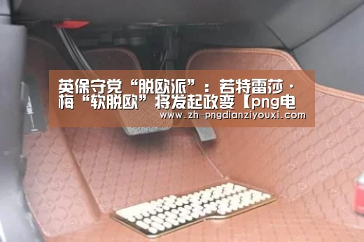 英保守党“脱欧派”:若特雷莎·梅“软脱欧”将发起政变【png电子游戏】(图1) png电子游戏