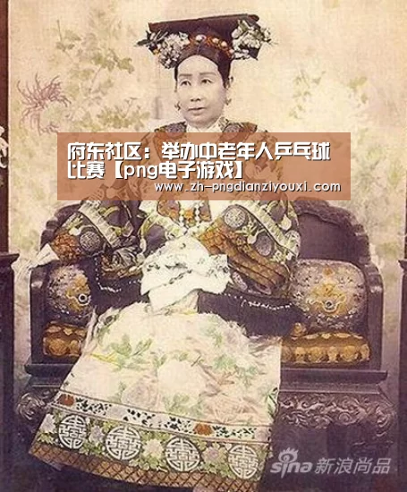 png电子游戏