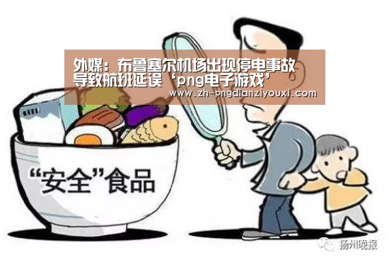 外媒:布鲁塞尔机场出现停电事故 导致航班延误‘png电子游戏’(图1) png电子游戏