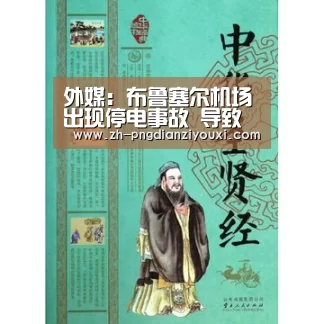 外媒:布鲁塞尔机场出现停电事故 导致航班延误‘png电子游戏’(图3) png电子游戏