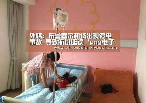 外媒:布鲁塞尔机场出现停电事故 导致航班延误‘png电子游戏’(图2) png电子游戏