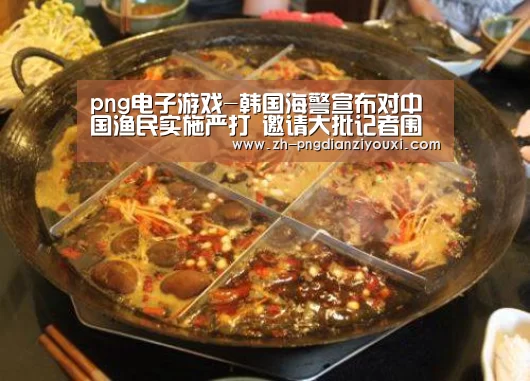 png电子游戏