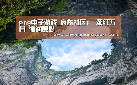 png电子游戏