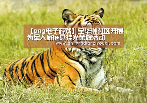 【png电子游戏】宝华洲社区开展为军人家庭悬挂光荣牌活动(图1) png电子游戏