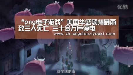 “png电子游戏”美国华盛顿州暴雨致三人死亡 三十多万户停电(图2) png电子游戏