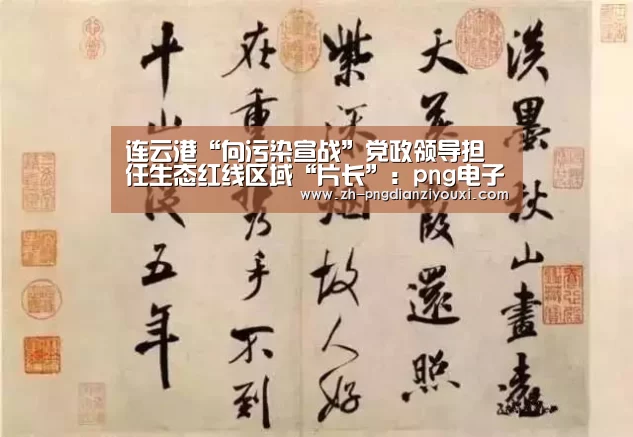 png电子游戏
