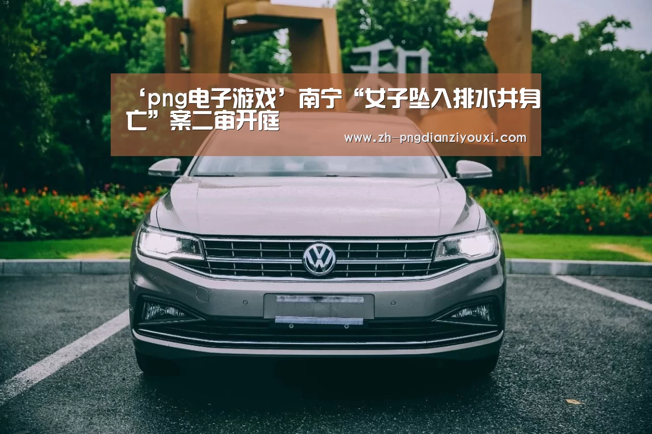 png电子游戏