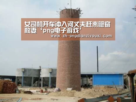 png电子游戏