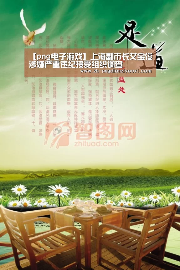 png电子游戏