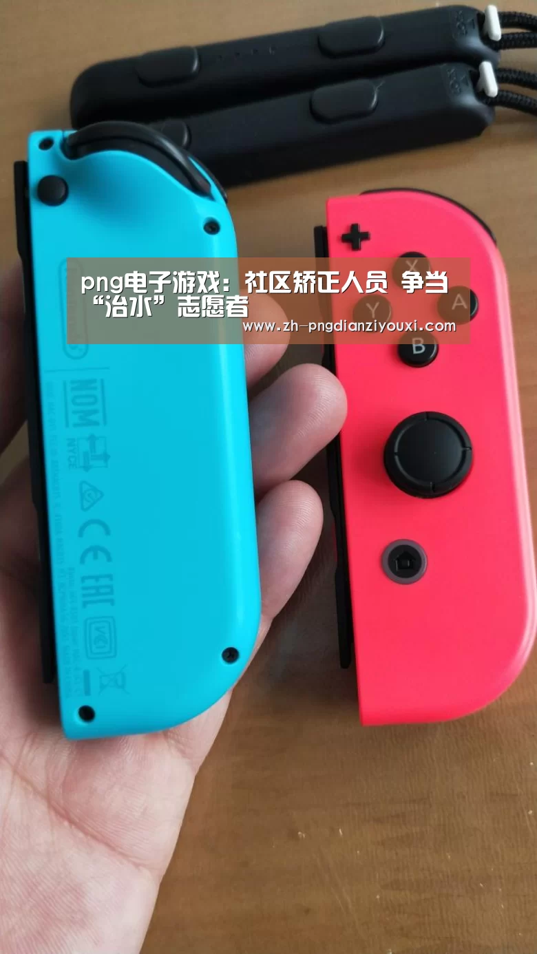 png电子游戏:社区矫正人员 争当“治水”志愿者(图2) png电子游戏
