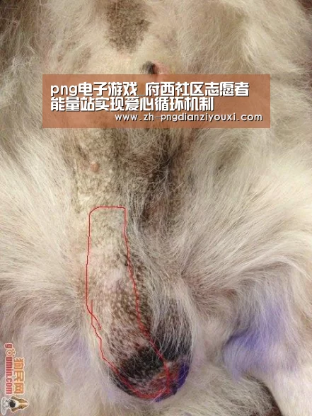 png电子游戏_府西社区志愿者能量站实现爱心循环机制(图1) png电子游戏