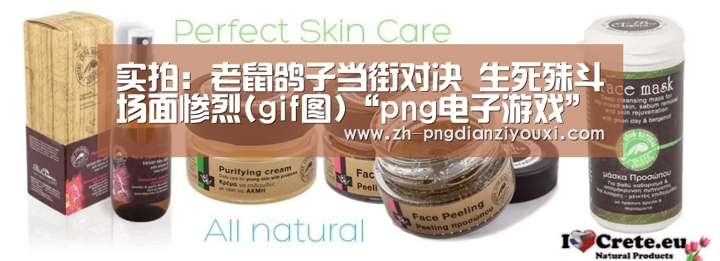 实拍:老鼠鸽子当街对决 生死殊斗场面惨烈(gif图)“png电子游戏”(图2) png电子游戏