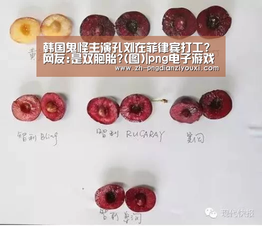 png电子游戏