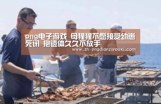 png电子游戏_母猩猩不愿接受幼崽死讯 抱遗体久久不放手(图3) png电子游戏