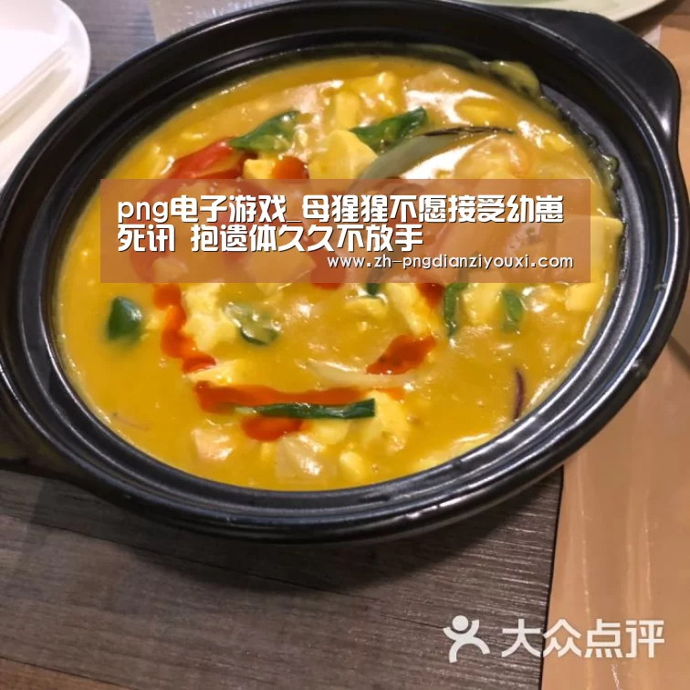 png电子游戏_母猩猩不愿接受幼崽死讯 抱遗体久久不放手(图2) png电子游戏
