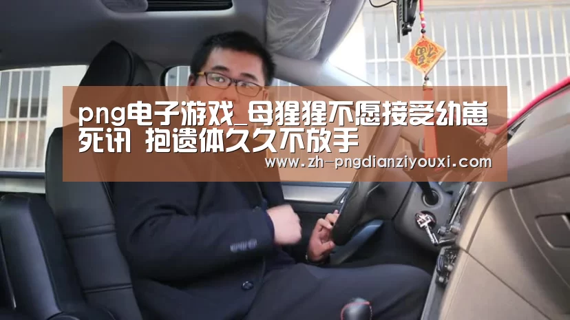 png电子游戏_母猩猩不愿接受幼崽死讯 抱遗体久久不放手(图1) png电子游戏