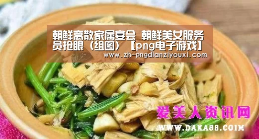 png电子游戏